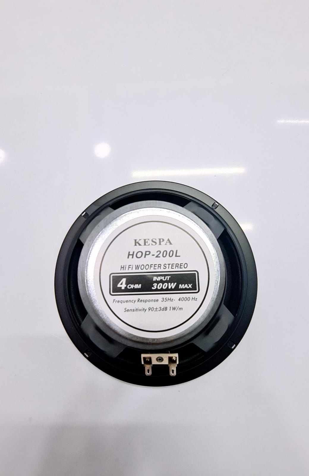 20 Cm 4 Ohm 300 Watt Plastik Hoparlör 1 Adet